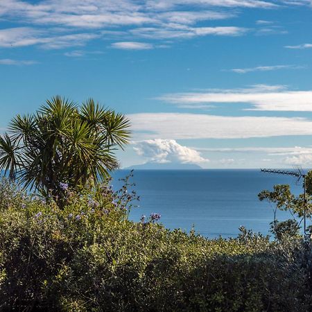 Belle View - Stay Waiheke Onetangi Eksteriør bilde